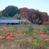 Gotta's Farm photo
