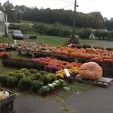 Gotta's Farm photo