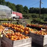 Gotta's Farm photo