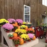 Gotta's Farm photo