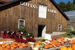 Gotta's Farm