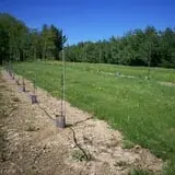 North Chester Orchard photo