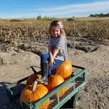 Engel Farms Pumpkin Patch photo