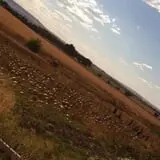 Engel Farms Pumpkin Patch photo