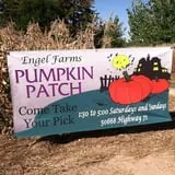 Engel Farms Pumpkin Patch photo