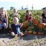 Engel Farms Pumpkin Patch photo