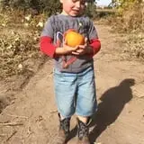 Engel Farms Pumpkin Patch photo