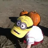Engel Farms Pumpkin Patch photo