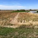 Engel Farms Pumpkin Patch photo