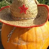 Engel Farms Pumpkin Patch photo