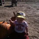 Engel Farms Pumpkin Patch photo