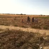 Engel Farms Pumpkin Patch photo