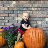 Engel Farms Pumpkin Patch photo