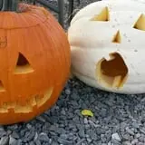 Engel Farms Pumpkin Patch photo