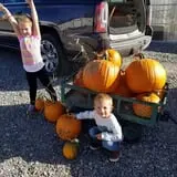 Engel Farms Pumpkin Patch photo
