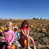 Engel Farms Pumpkin Patch photo