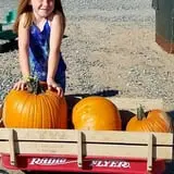 Engel Farms Pumpkin Patch photo