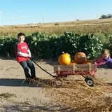 Engel Farms Pumpkin Patch photo