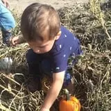 Engel Farms Pumpkin Patch photo
