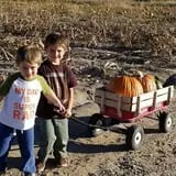 Engel Farms Pumpkin Patch photo
