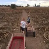 Engel Farms Pumpkin Patch photo
