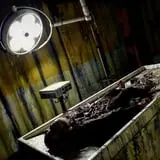 Haunted Schoolhouse & Laboratory photo