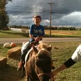 Trunnell's Farm Market Corn Maze & Fun Acre photo