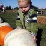 Trunnell's Farm Market Corn Maze & Fun Acre photo