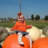 Trunnell's Farm Market Corn Maze & Fun Acre photo