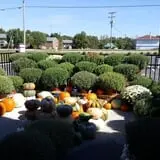 Trunnell's Farm Market Corn Maze & Fun Acre photo