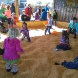Trunnell's Farm Market Corn Maze & Fun Acre photo