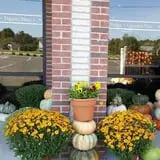 Trunnell's Farm Market Corn Maze & Fun Acre photo
