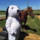 Trunnell's Farm Market Corn Maze & Fun Acre photo