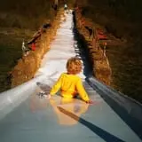 Trunnell's Farm Market Corn Maze & Fun Acre photo