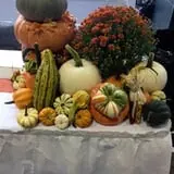 Trunnell's Farm Market Corn Maze & Fun Acre photo