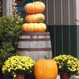 Trunnell's Farm Market Corn Maze & Fun Acre photo