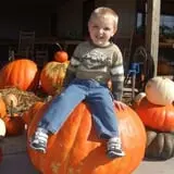 Trunnell's Farm Market Corn Maze & Fun Acre photo