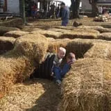 Trunnell's Farm Market Corn Maze & Fun Acre photo