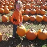Trunnell's Farm Market Corn Maze & Fun Acre photo