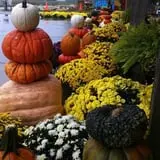 Trunnell's Farm Market Corn Maze & Fun Acre photo