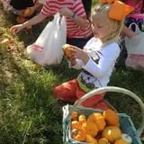 Trunnell's Farm Market Corn Maze & Fun Acre photo