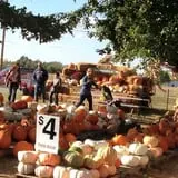 Trunnell's Farm Market Corn Maze & Fun Acre photo