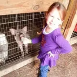 Trunnell's Farm Market Corn Maze & Fun Acre photo