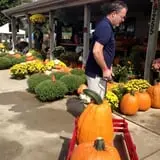 Trunnell's Farm Market Corn Maze & Fun Acre photo