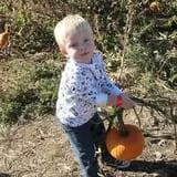 Trunnell's Farm Market Corn Maze & Fun Acre photo