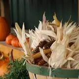 Trunnell's Farm Market Corn Maze & Fun Acre photo