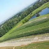 Trunnell's Farm Market Corn Maze & Fun Acre photo