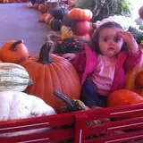 Trunnell's Farm Market Corn Maze & Fun Acre photo
