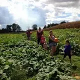 Trunnell's Farm Market Corn Maze & Fun Acre photo