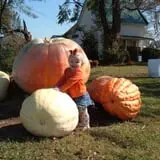 Trunnell's Farm Market Corn Maze & Fun Acre photo